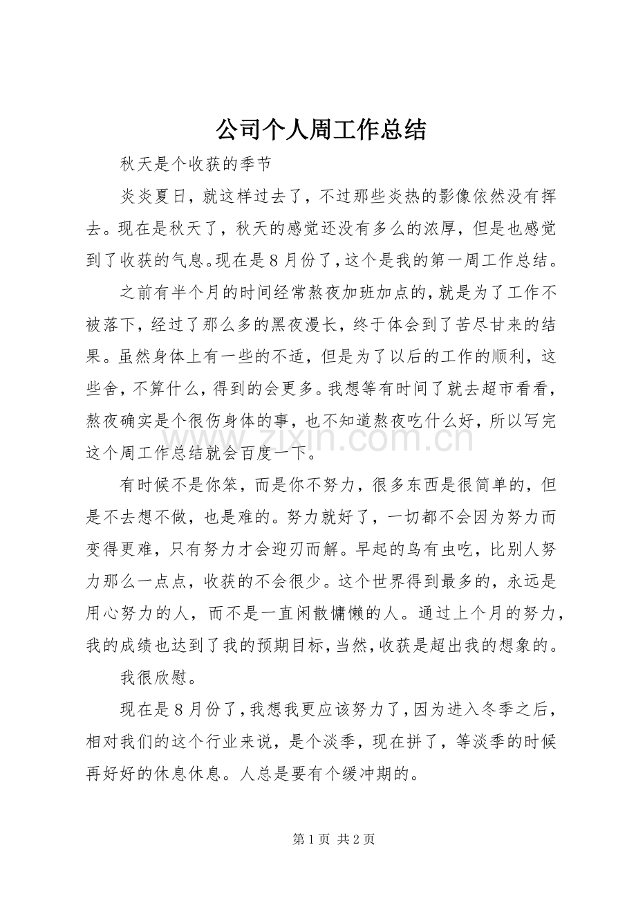 公司个人周工作总结 .docx_第1页