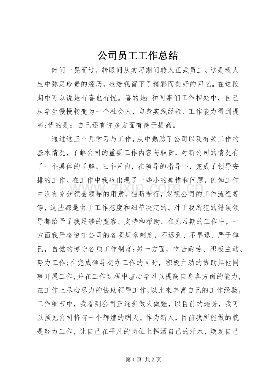 公司员工工作总结 .docx_第1页