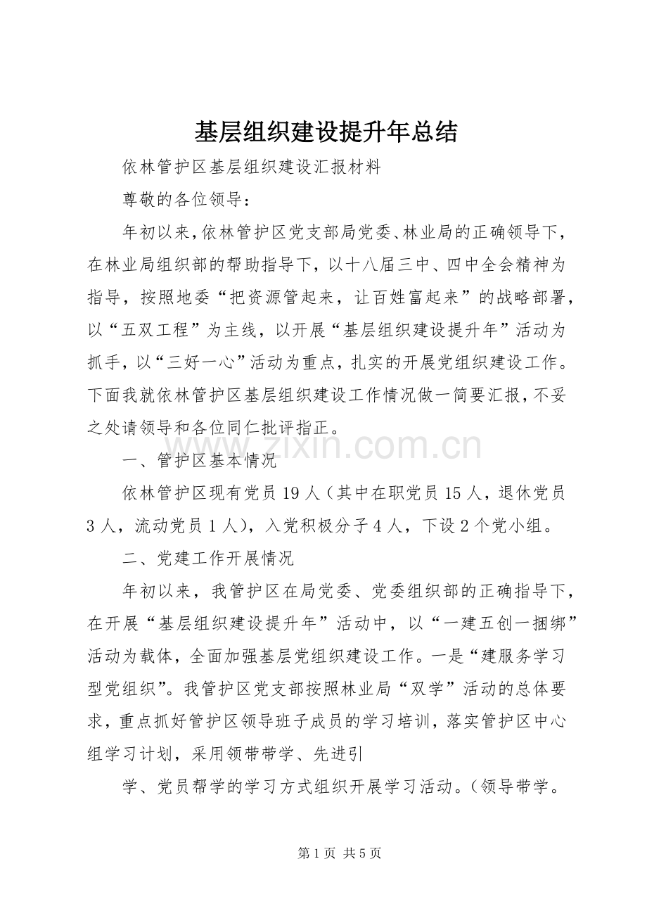 基层组织建设提升年总结 .docx_第1页