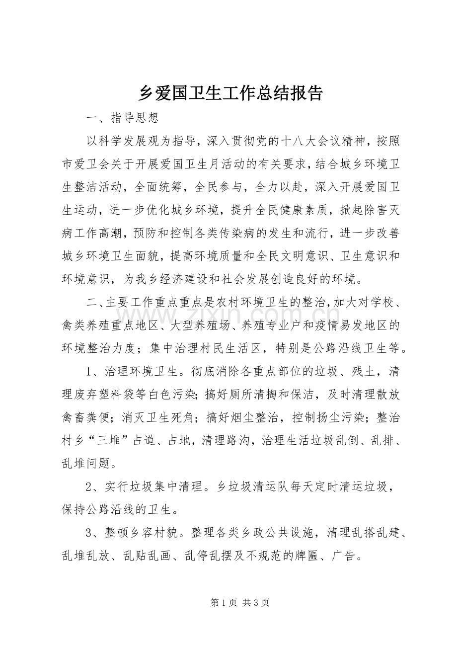 乡爱国卫生工作总结报告 .docx_第1页