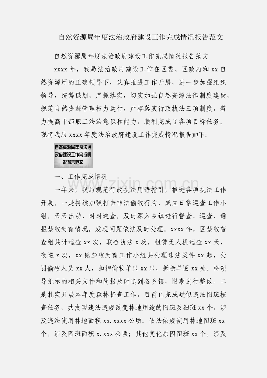 自然资源局年度法治政府建设工作完成情况报告范文.docx_第1页