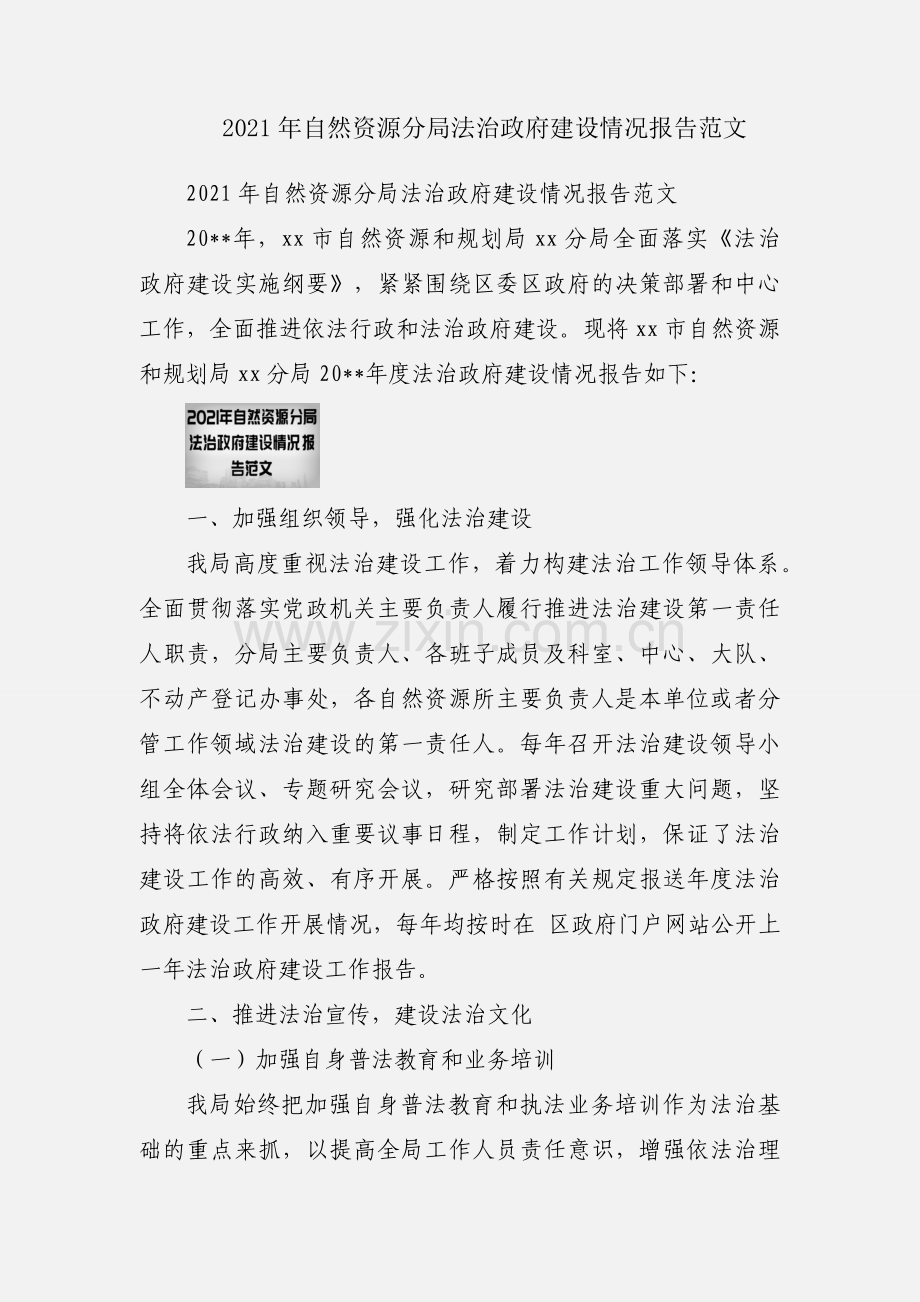 2021年自然资源分局法治政府建设情况报告范文.docx_第1页