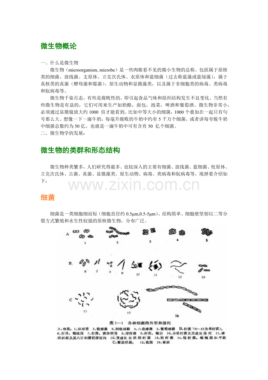 微生物检验(1).docx_第2页