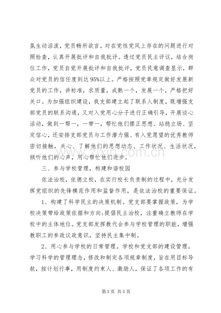 XX年度党支部工作总结20XX年字-XX年度乡镇党支部工作总结.docx_第3页