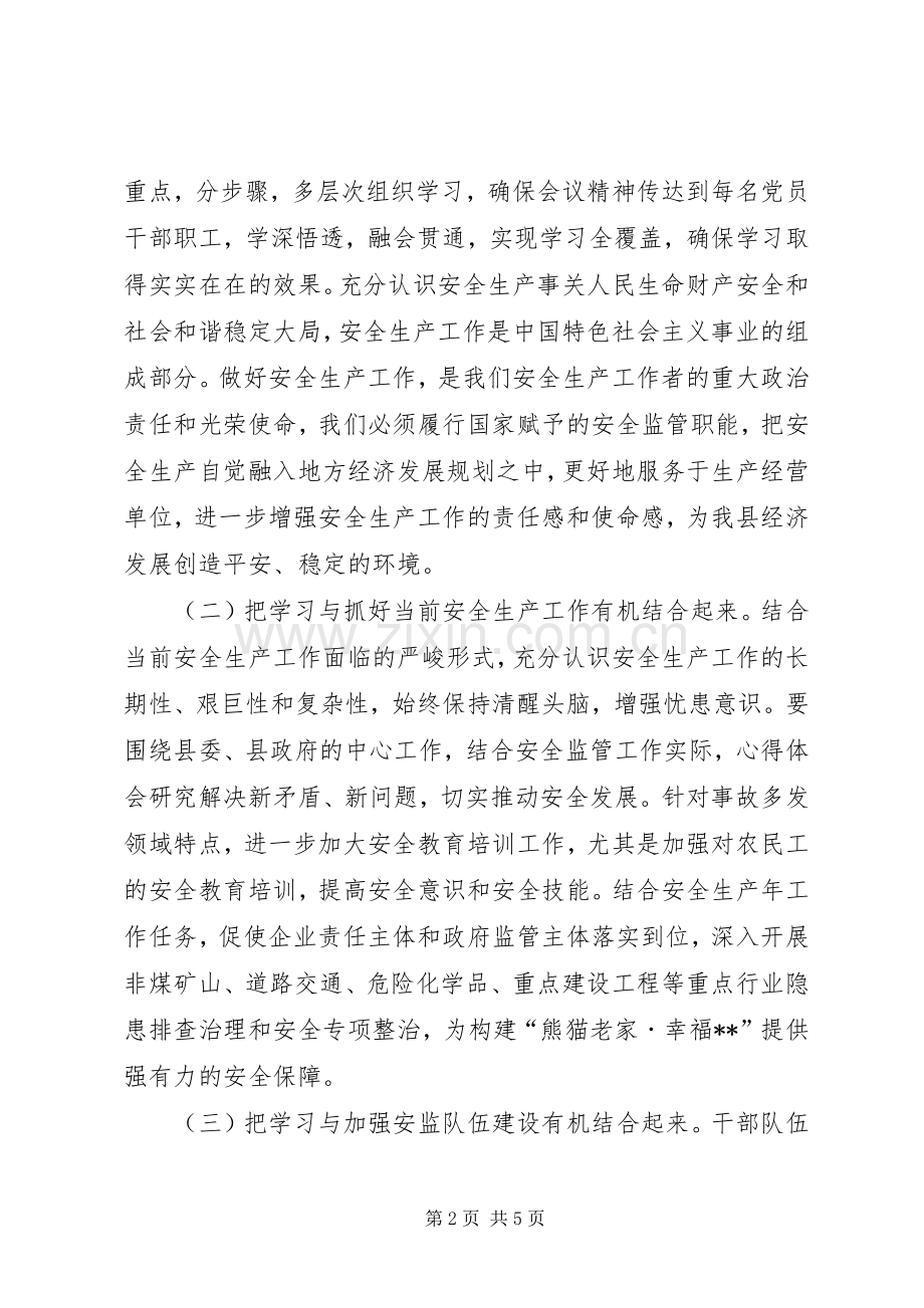 县安监局XX年度基层党建工作自查总结 .docx_第2页