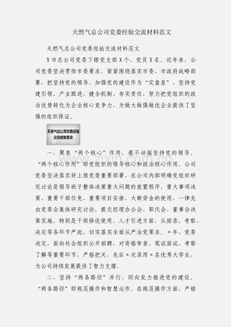 天然气总公司党委经验交流材料范文.docx_第1页