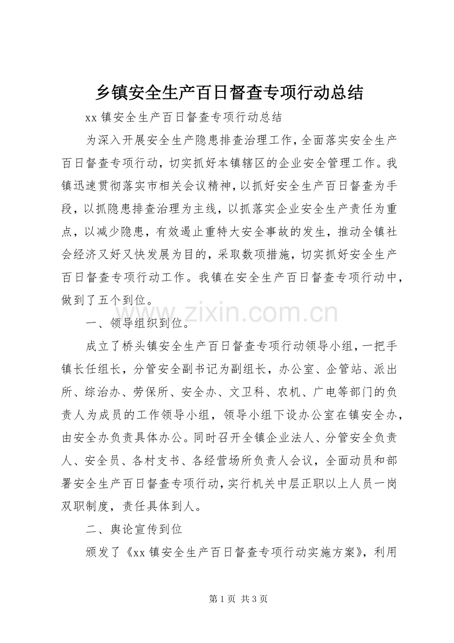 乡镇安全生产百日督查专项行动总结 .docx_第1页