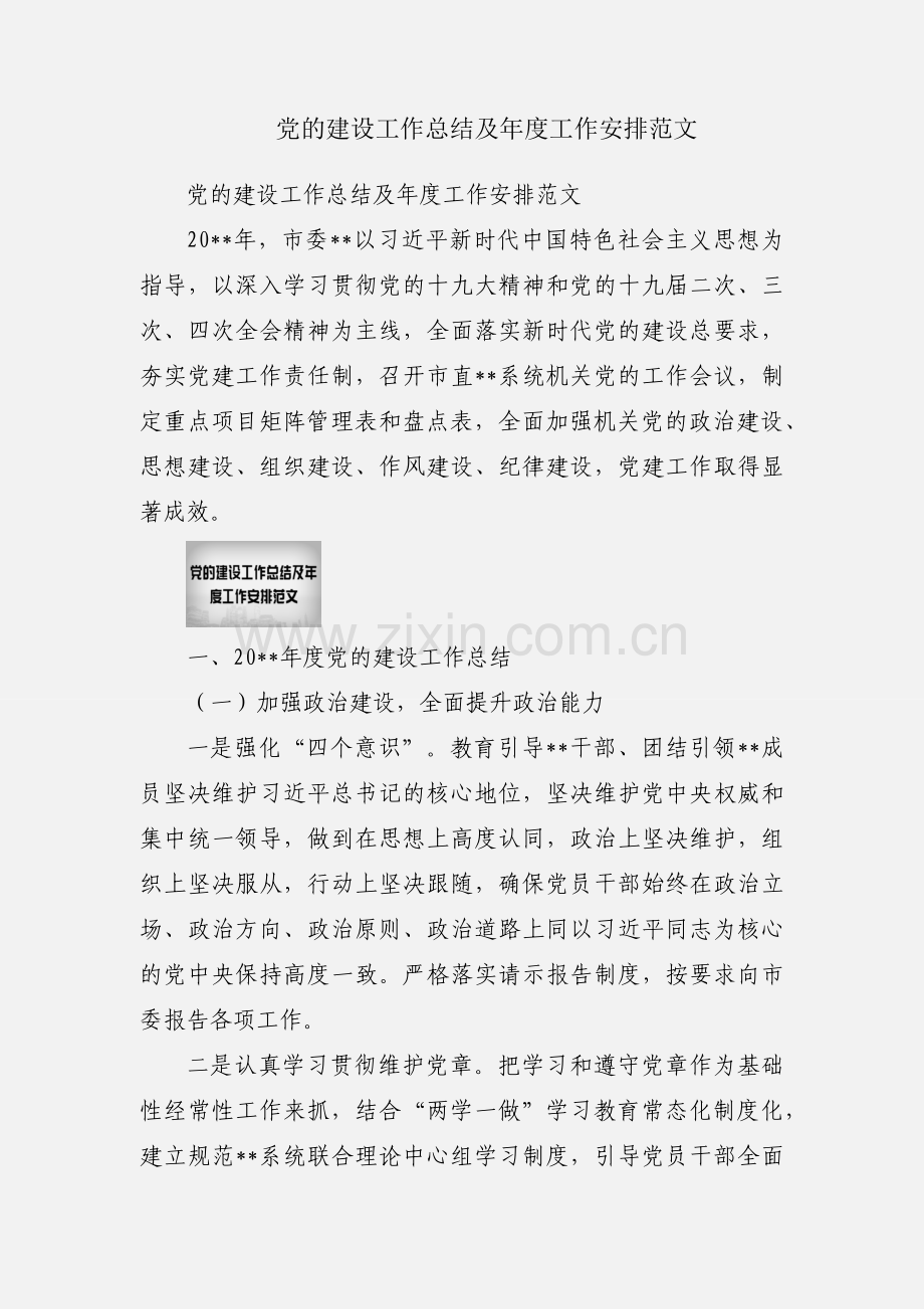 党的建设工作总结及年度工作安排范文.docx_第1页