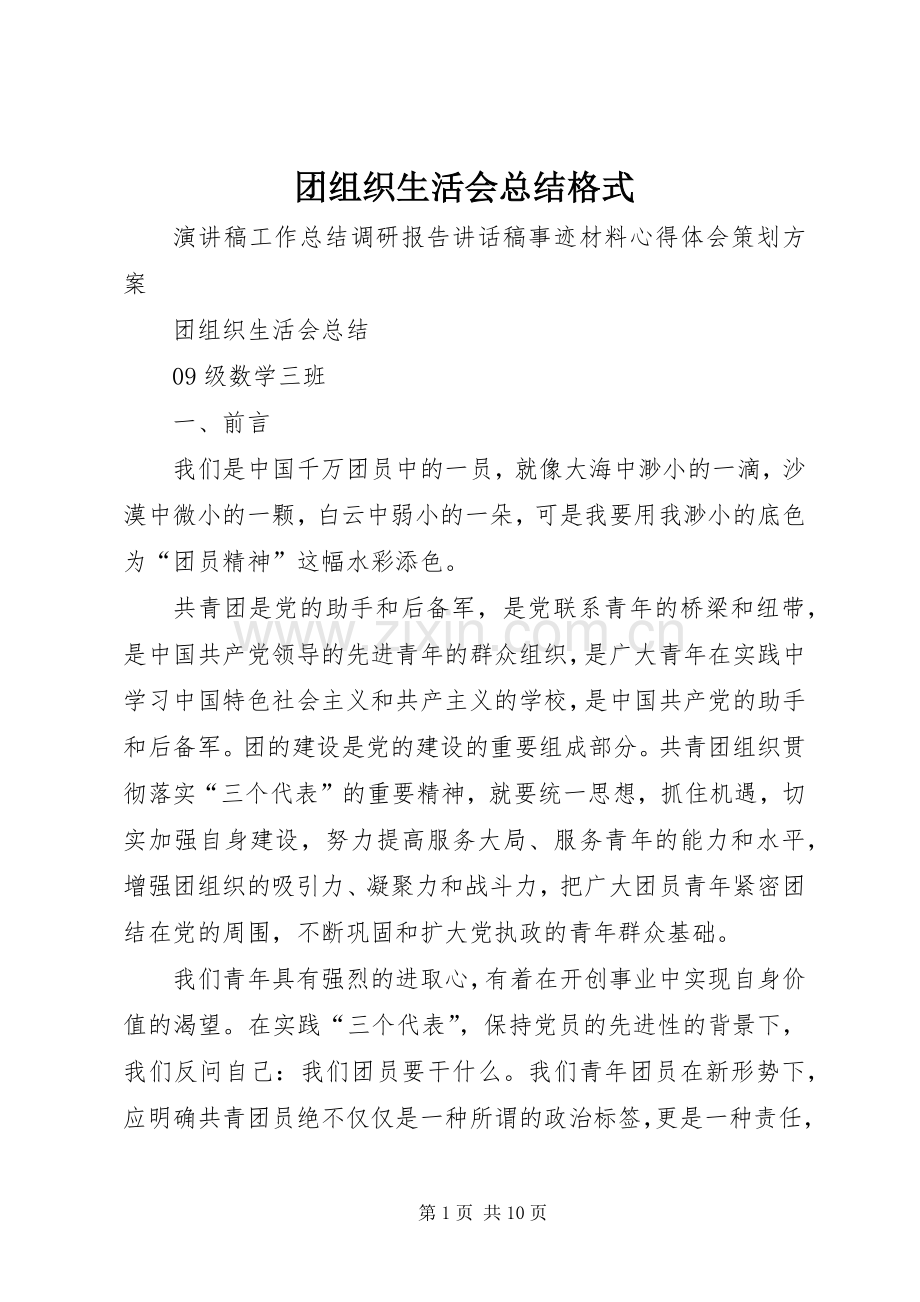 团组织生活会总结格式 .docx_第1页