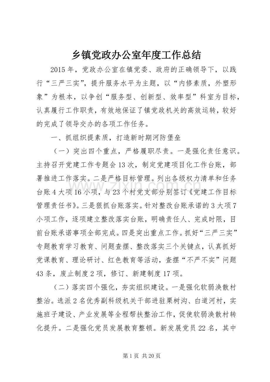 乡镇党政办公室年度工作总结 .docx_第1页