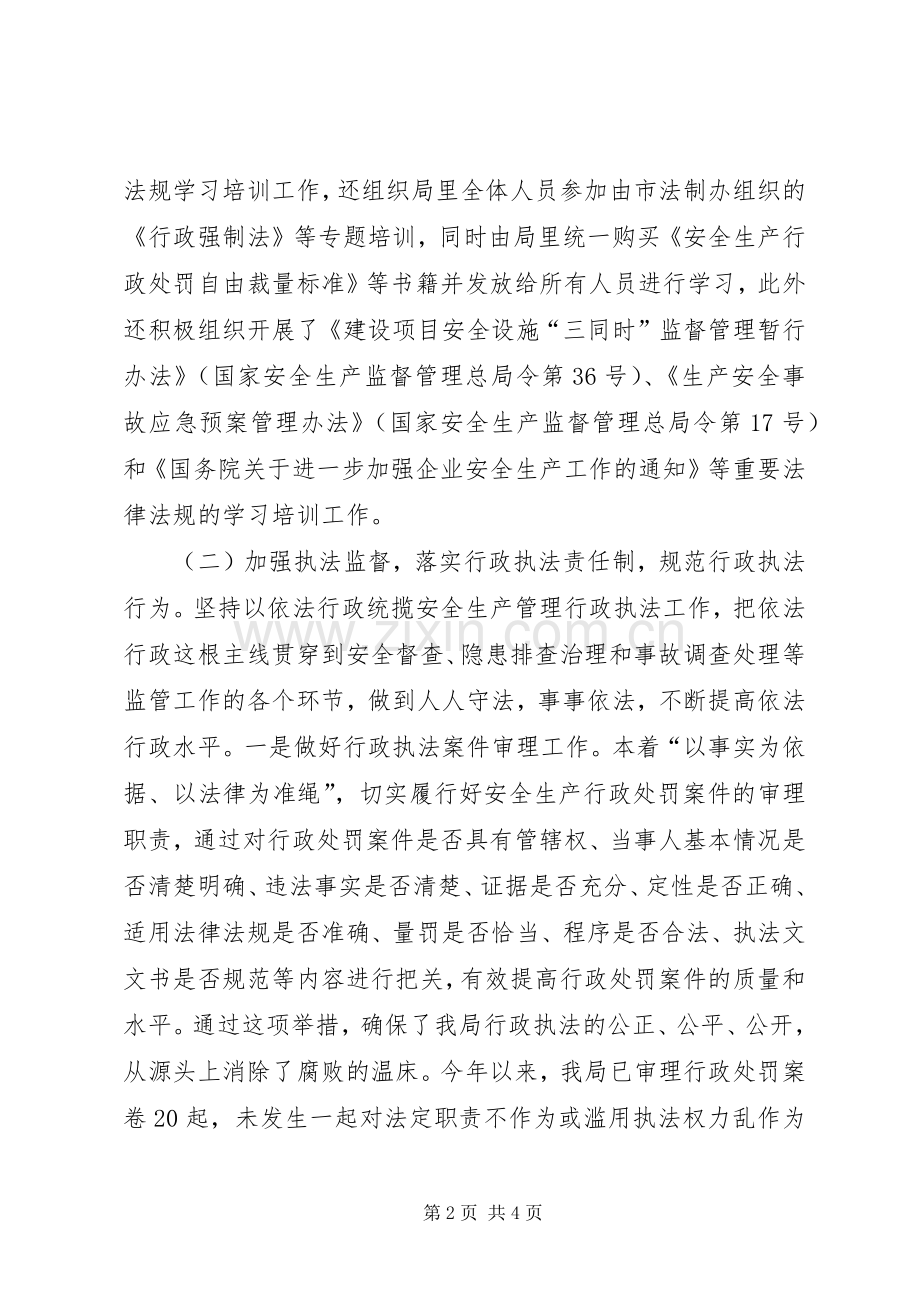 安监局年度依法行政工作总结 .docx_第2页