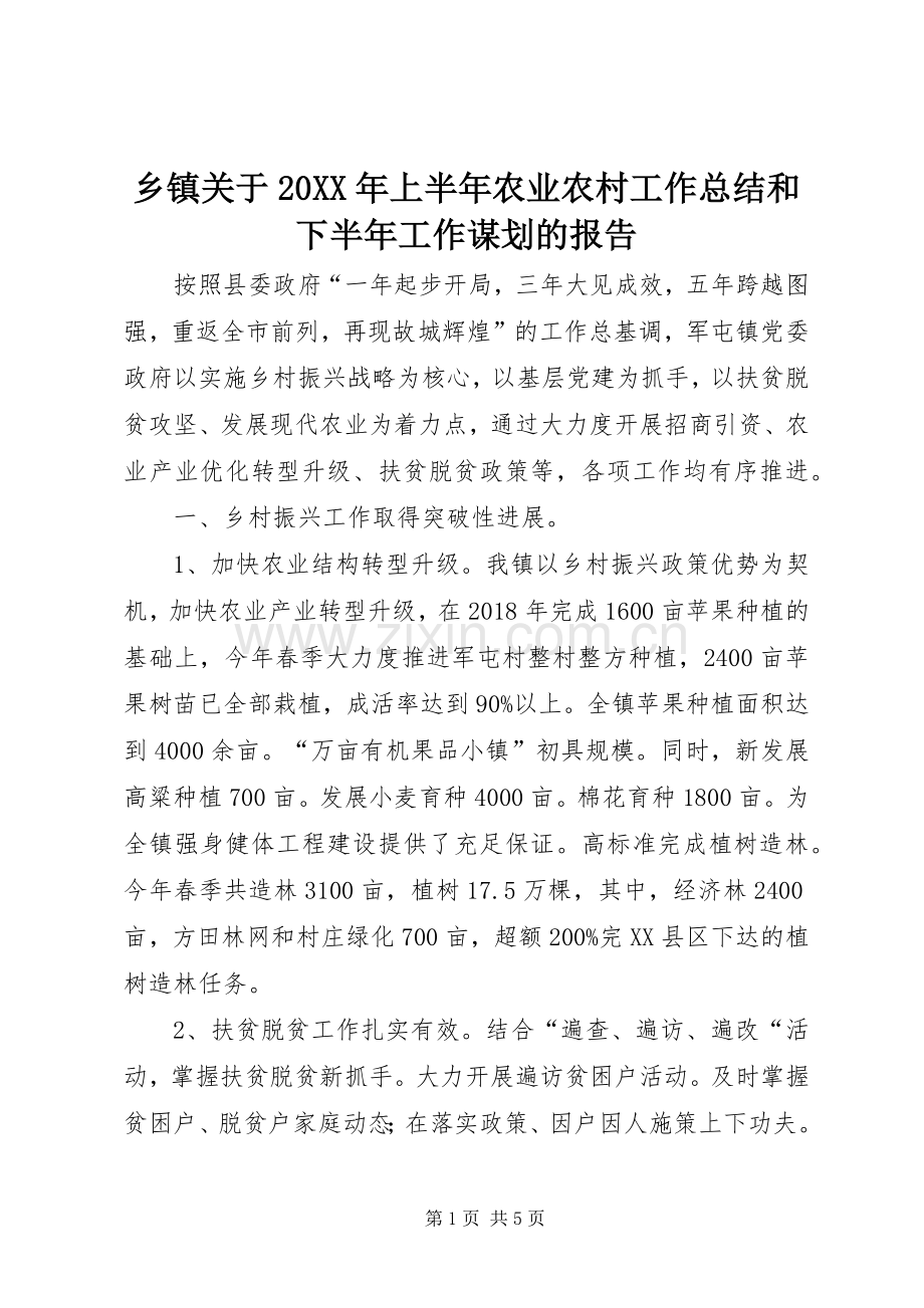 乡镇关于20XX年上半年农业农村工作总结和下半年工作谋划的报告.docx_第1页