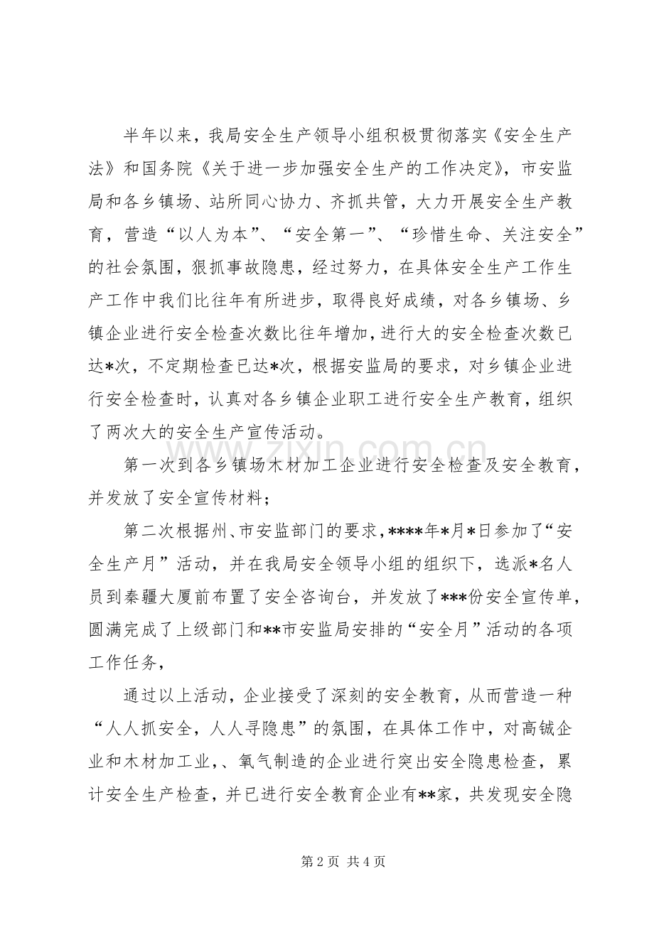 乡镇企业20XX年上半年安全生产工作总结.docx_第2页