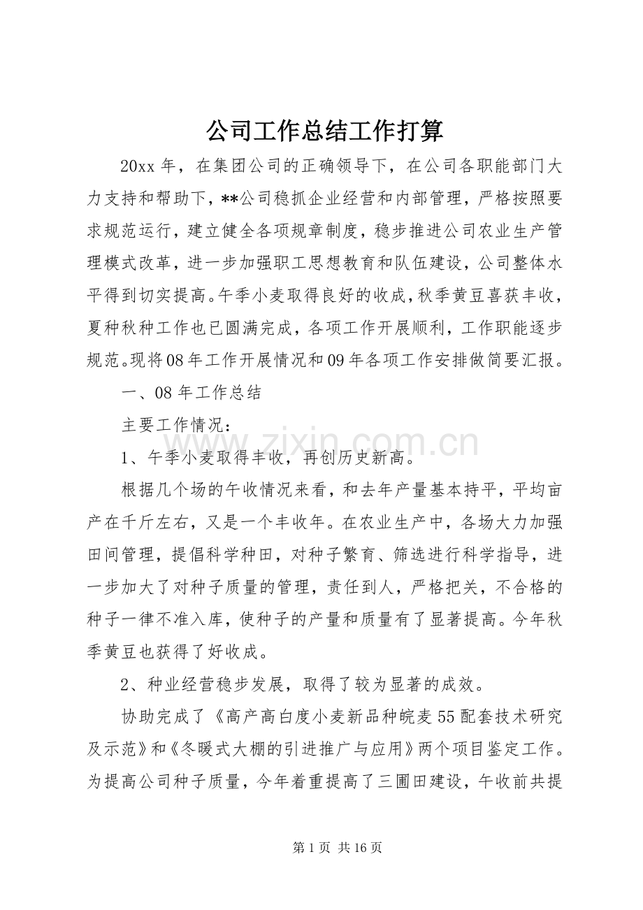 公司工作总结工作打算 .docx_第1页