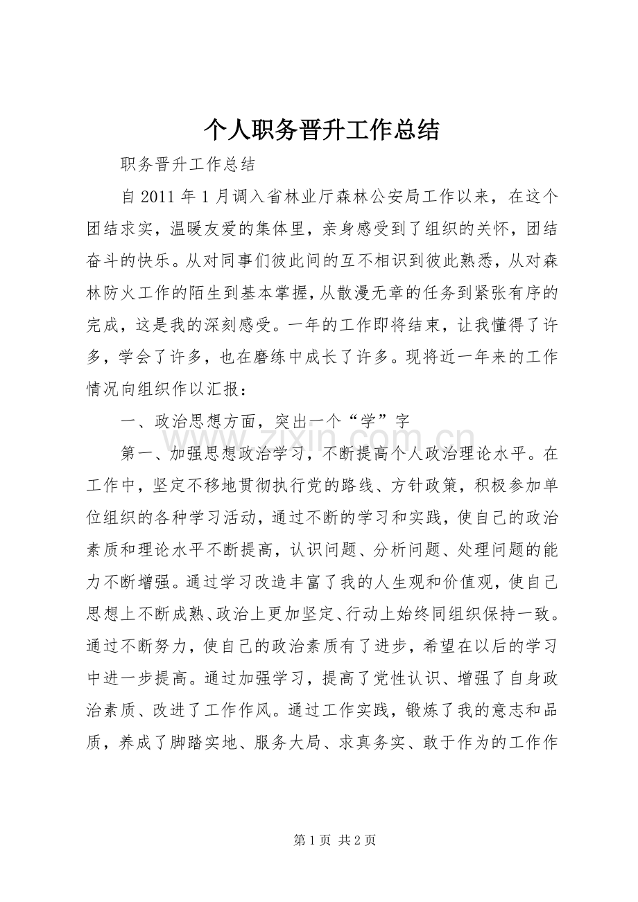 个人职务晋升工作总结 .docx_第1页