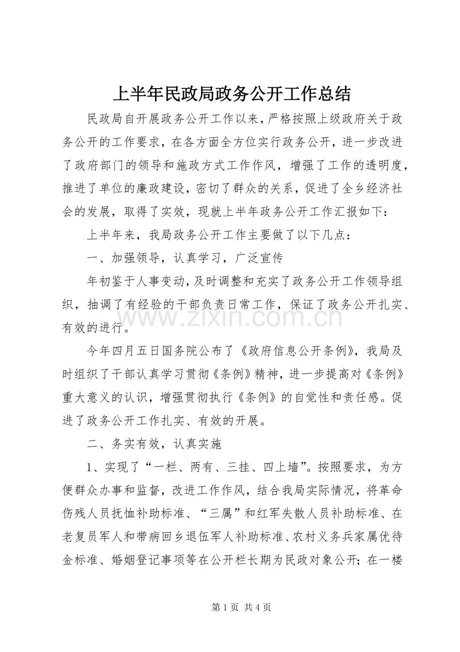 上半年民政局政务公开工作总结 .docx_第1页