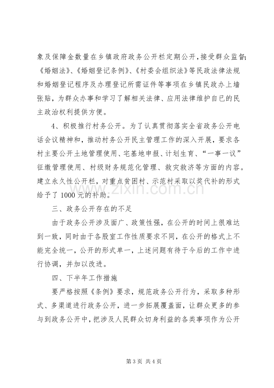 上半年民政局政务公开工作总结 .docx_第3页