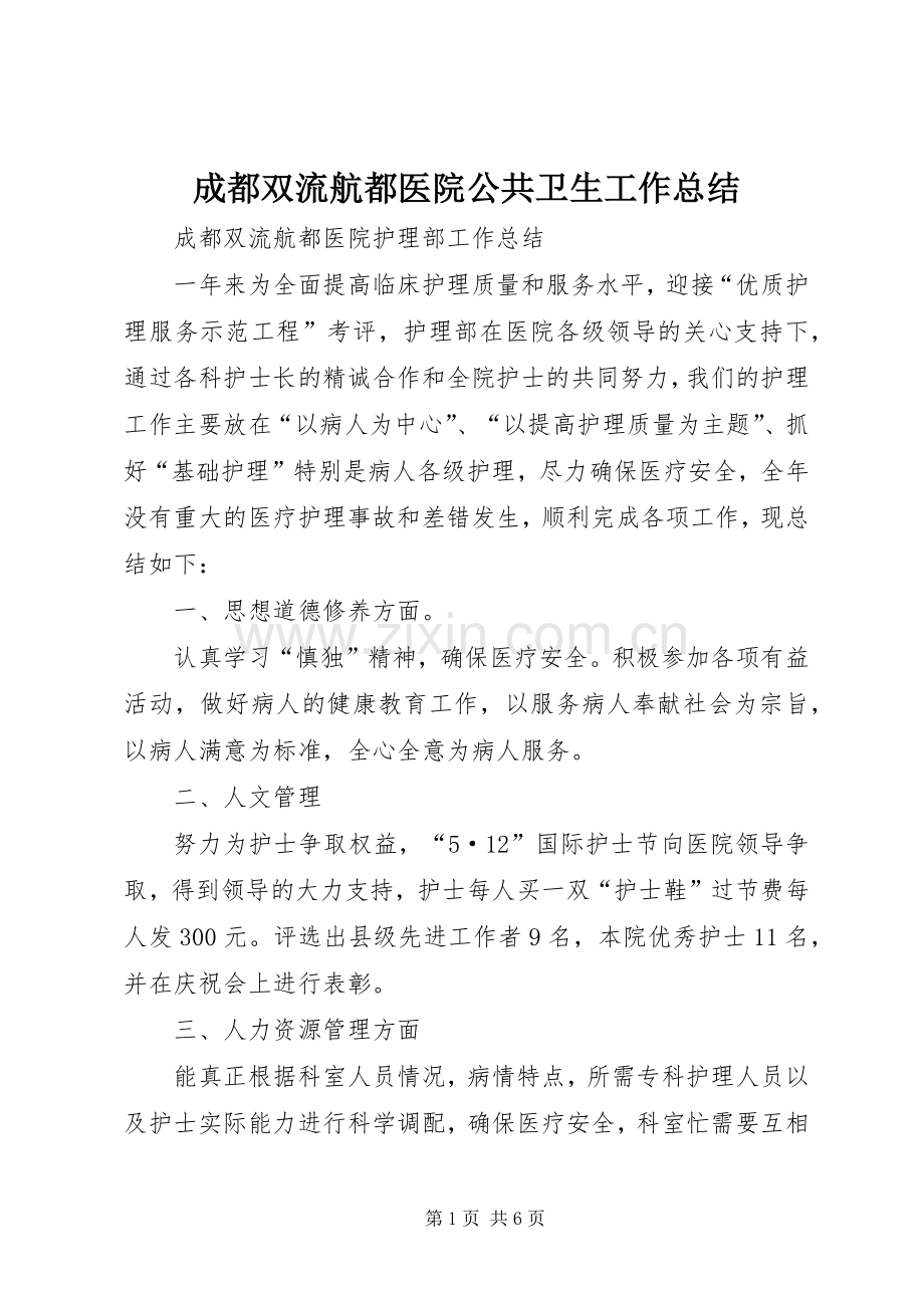 成都双流航都医院公共卫生工作总结 .docx_第1页