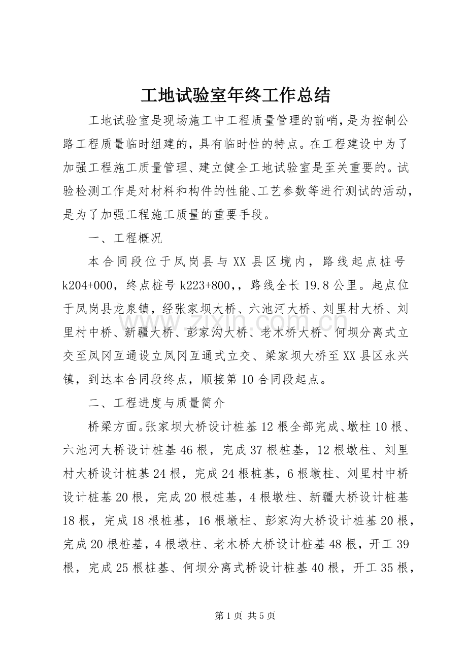 工地试验室年终工作总结 .docx_第1页