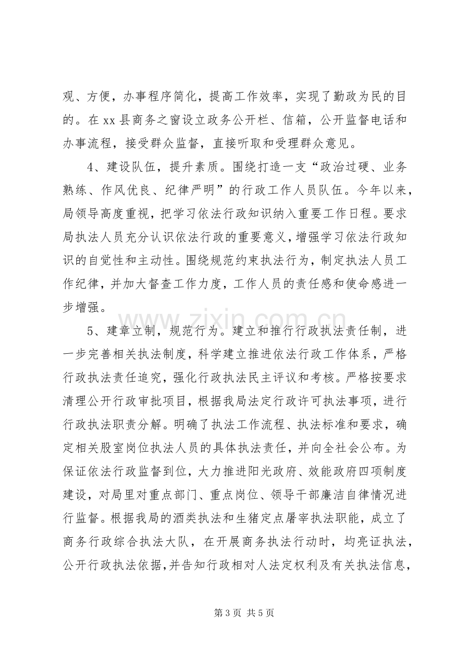 商务局年度依法行政工作总结 .docx_第3页