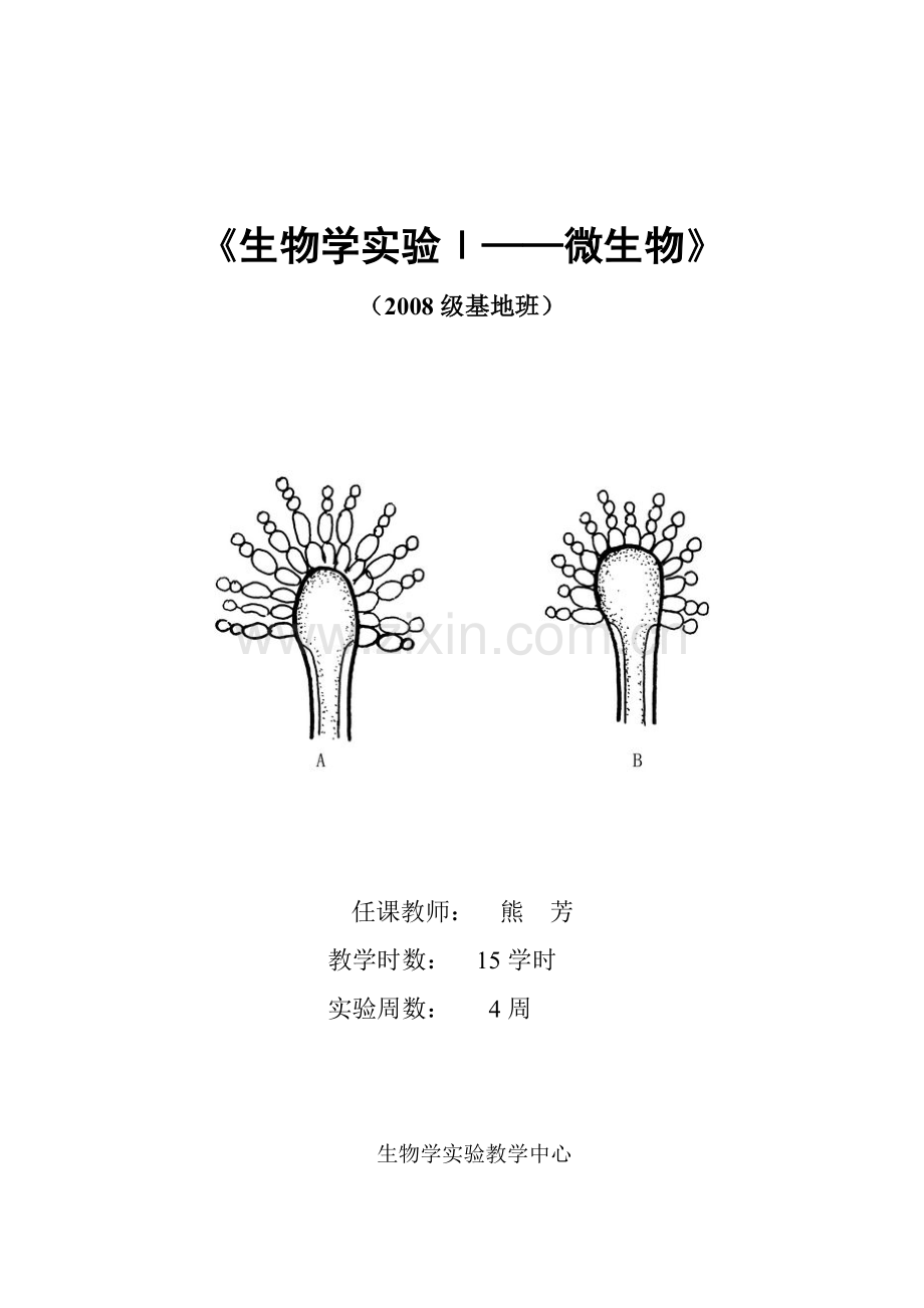 微生物学实验讲义.docx_第1页