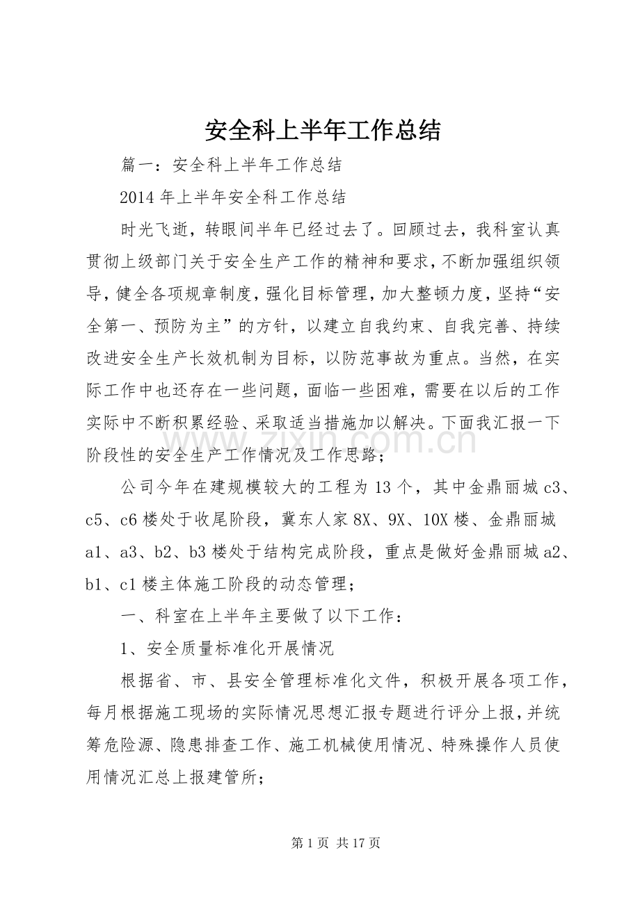 安全科上半年工作总结 .docx_第1页