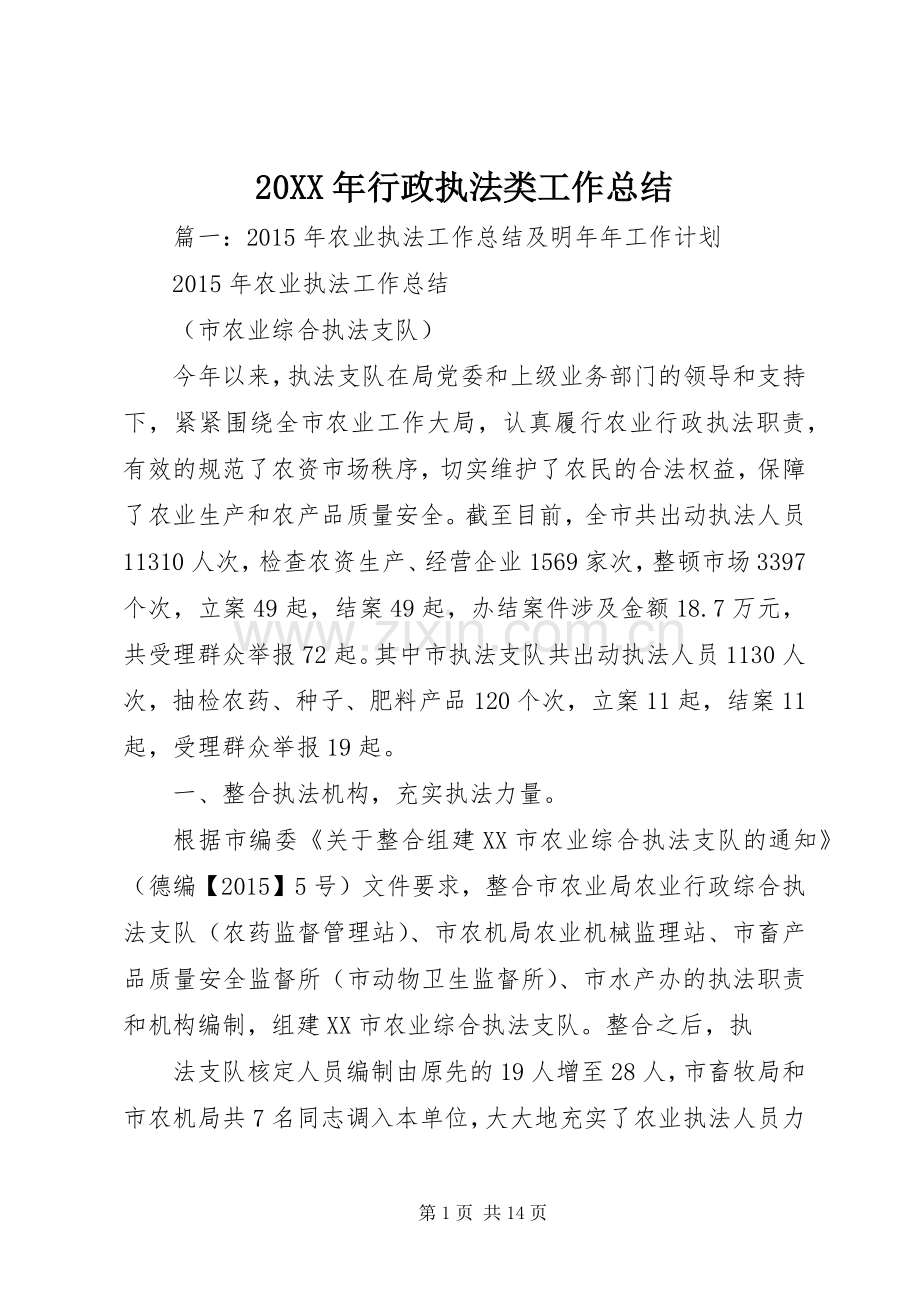 20XX年行政执法类工作总结.docx_第1页