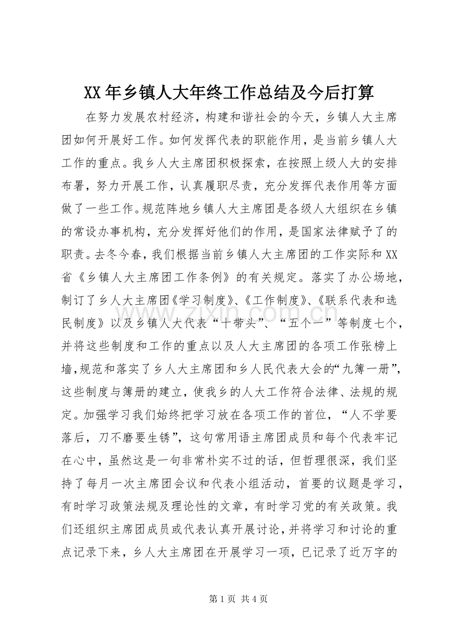 XX年乡镇人大年终工作总结及今后打算 .docx_第1页