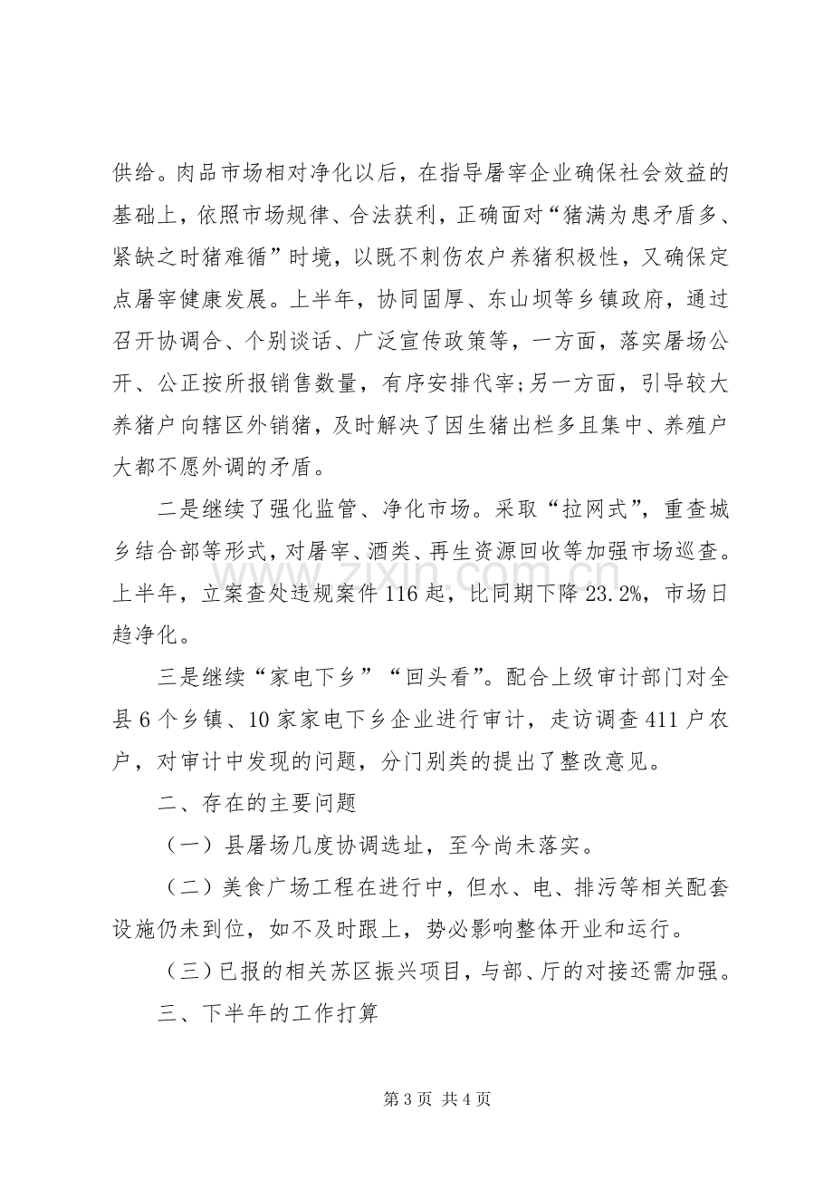 商务系统年终总结 .docx_第3页