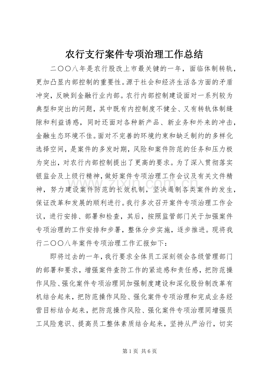 农行支行案件专项治理工作总结 .docx_第1页