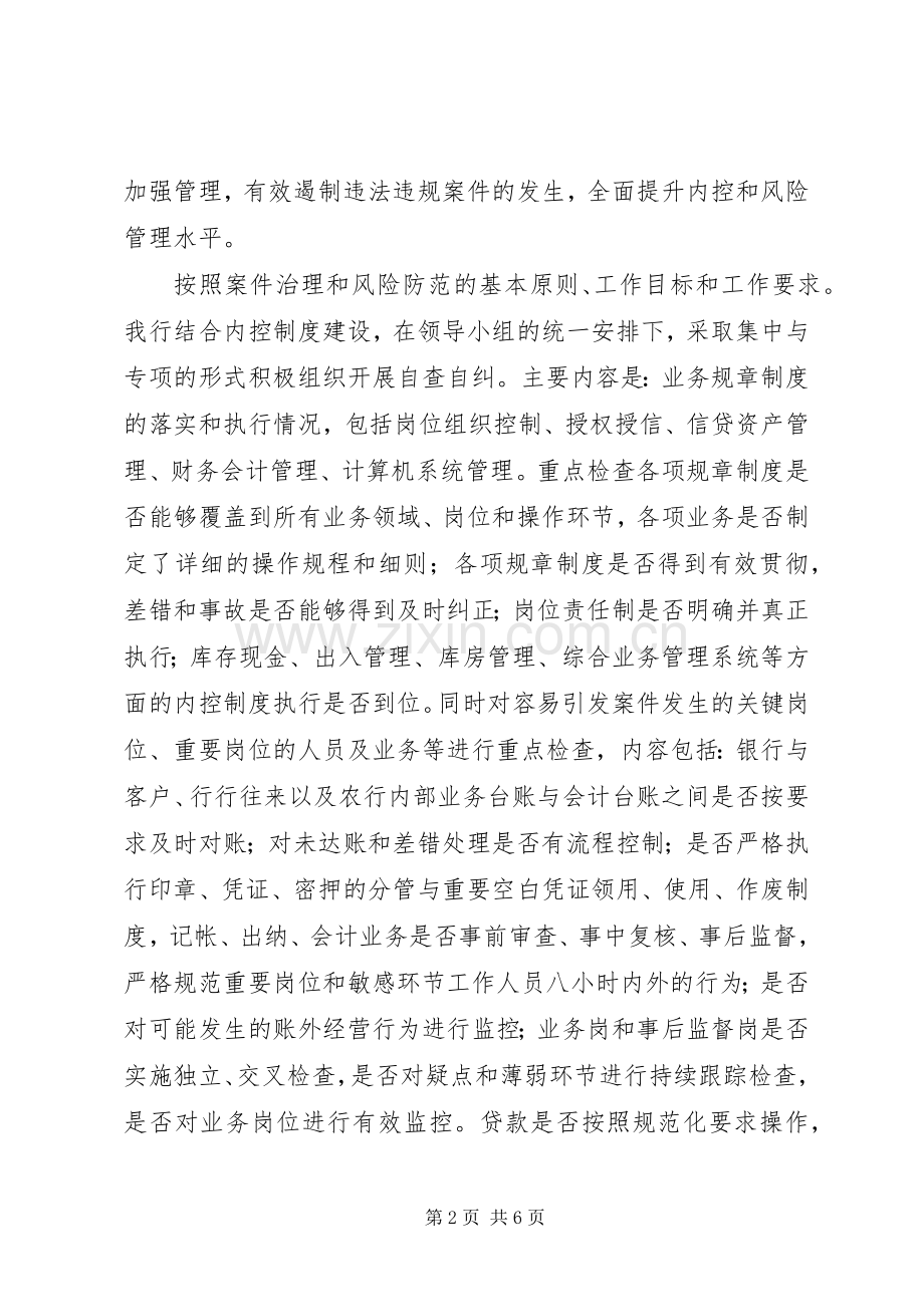 农行支行案件专项治理工作总结 .docx_第2页