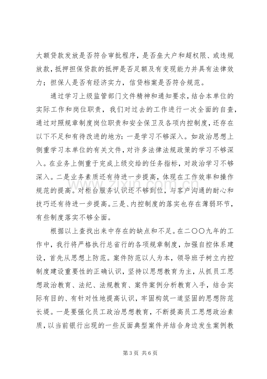 农行支行案件专项治理工作总结 .docx_第3页