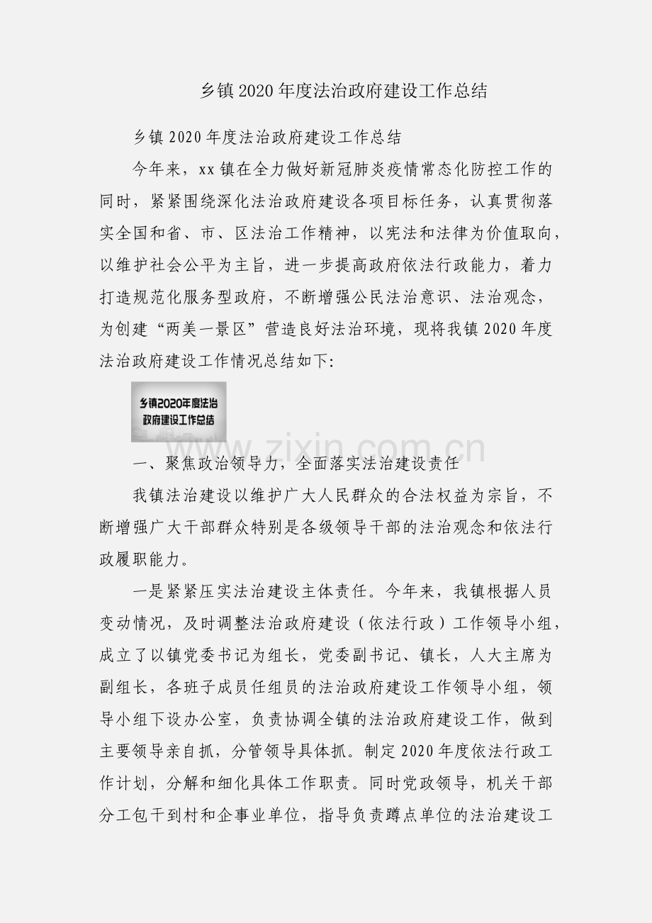 乡镇2020年度法治政府建设工作总结.docx_第1页