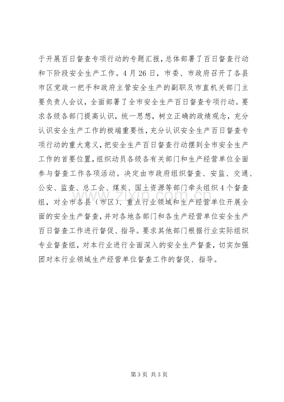 XX年市安全生产“百日督查”行动总结 .docx_第3页