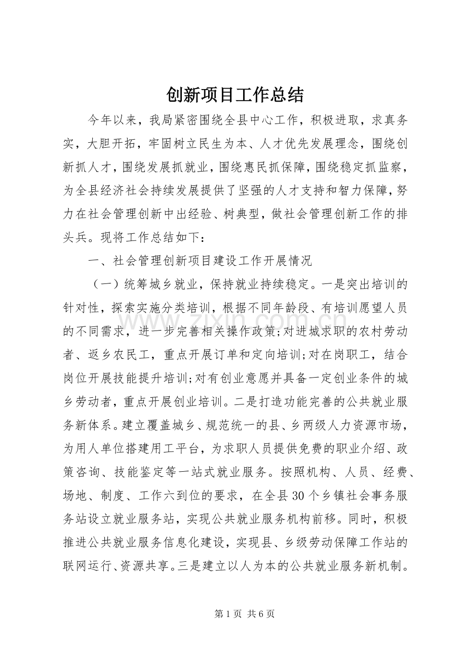 创新项目工作总结 .docx_第1页