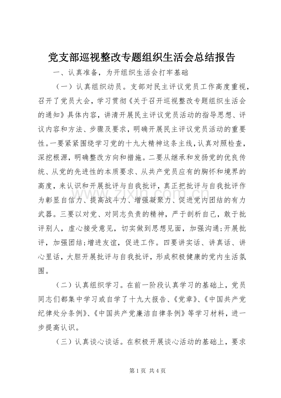 党支部巡视整改专题组织生活会总结报告 .docx_第1页