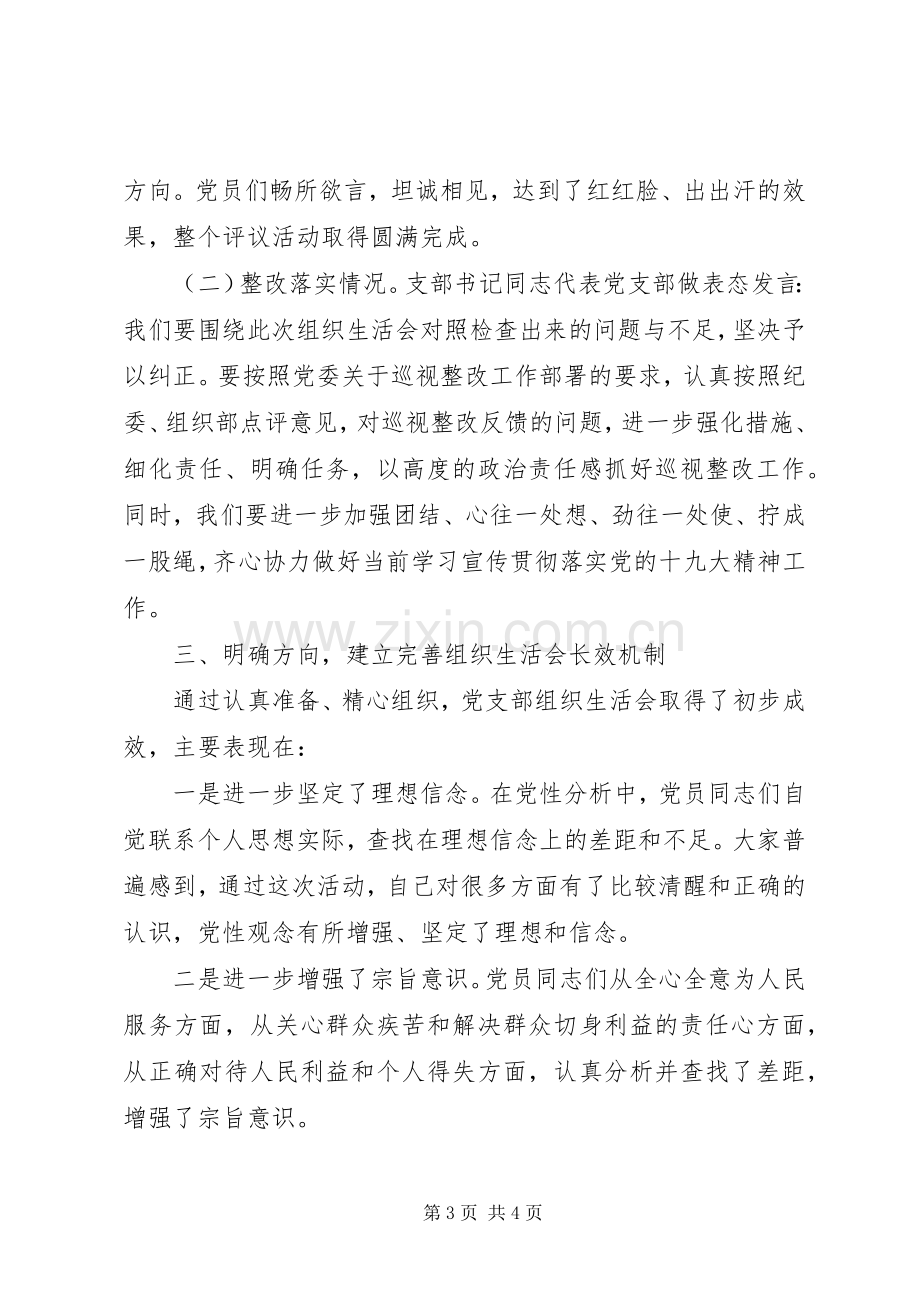 党支部巡视整改专题组织生活会总结报告 .docx_第3页