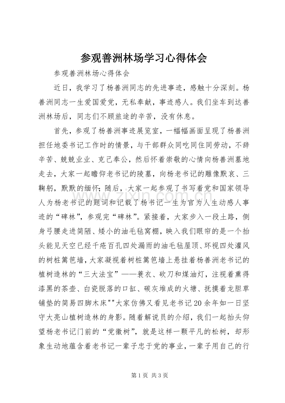 参观善洲林场学习体会心得.docx_第1页