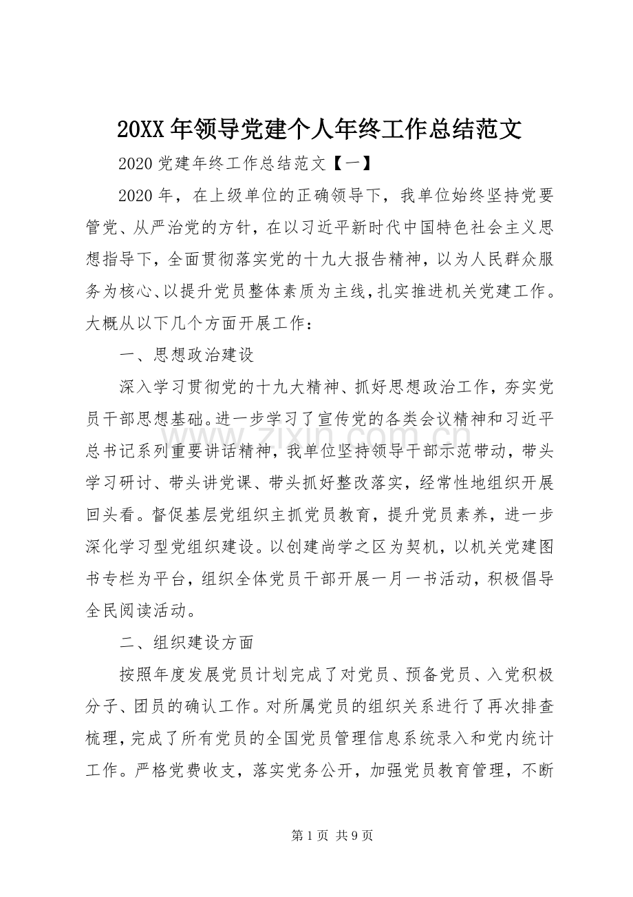 20XX年领导党建个人年终工作总结范文.docx_第1页