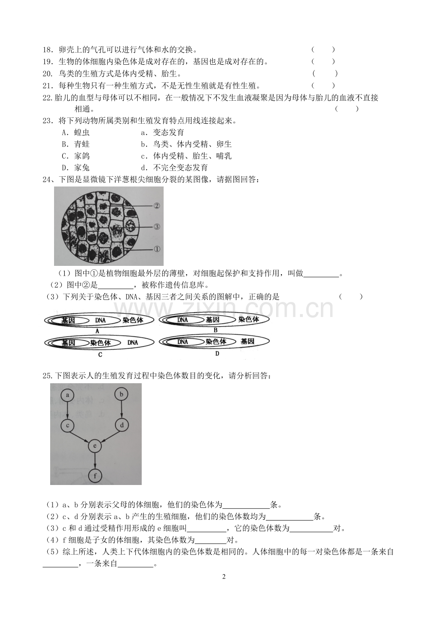 主题7生物的生殖发育与遗传测试题2.doc_第2页