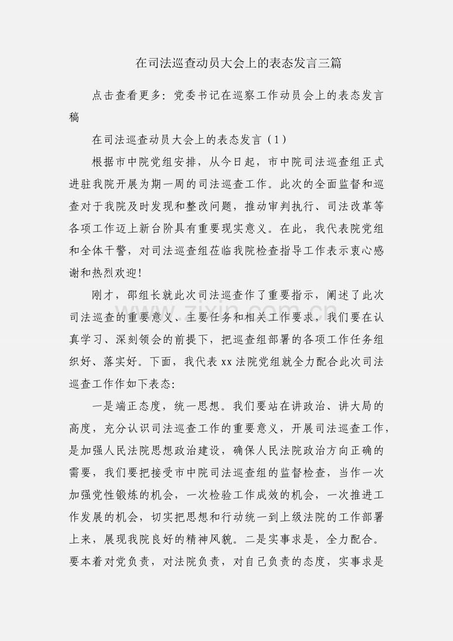 在司法巡查动员大会上的表态发言三篇.docx_第1页