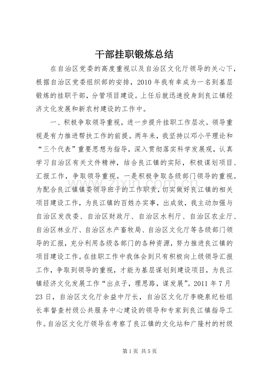 干部挂职锻炼总结 .docx_第1页