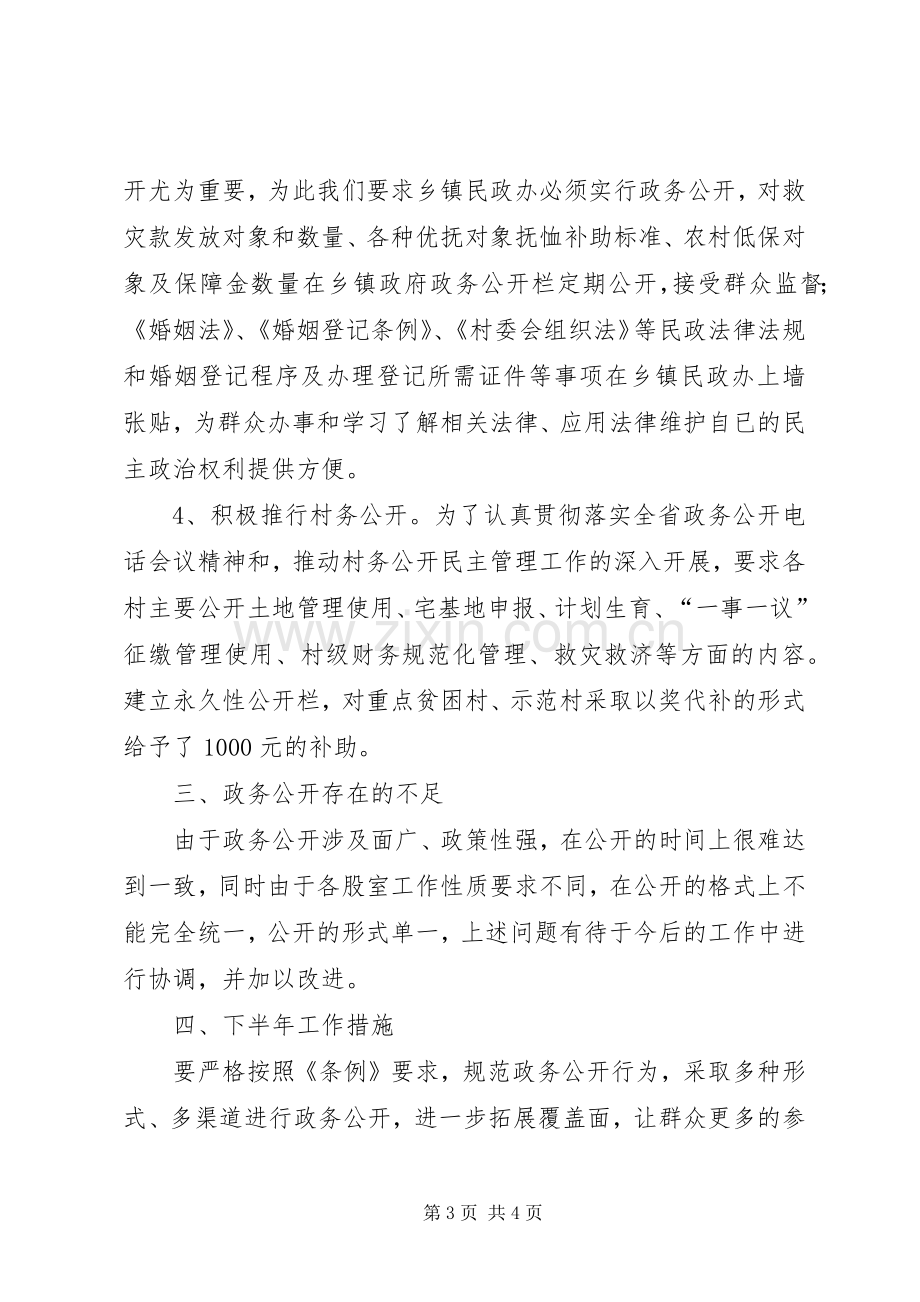 县上半年政务公开工作总结 .docx_第3页