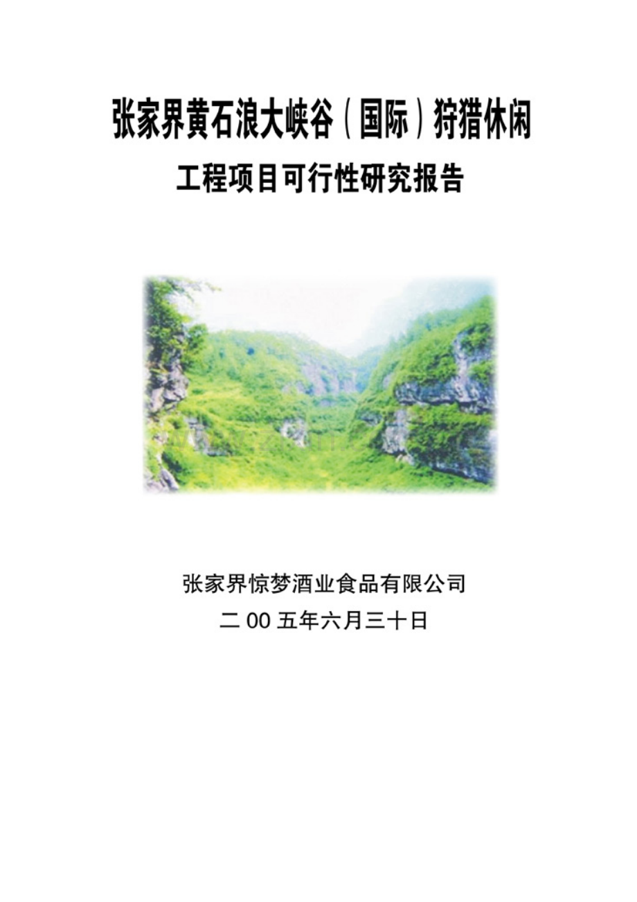 张家界工程项目可行性研究报告.docx_第1页