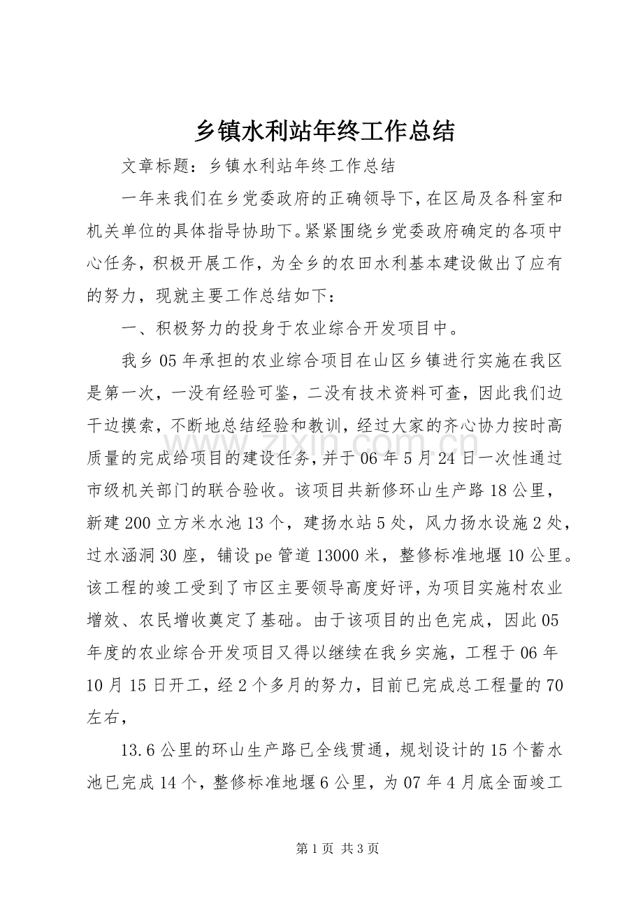 乡镇水利站年终工作总结 .docx_第1页