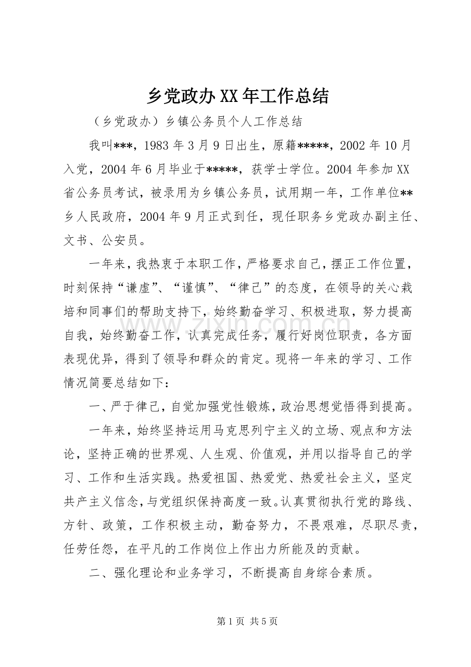 乡党政办XX年工作总结 .docx_第1页