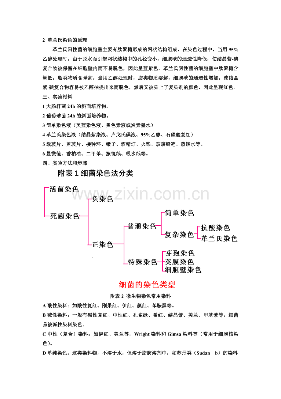 微生物实验教案.docx_第3页