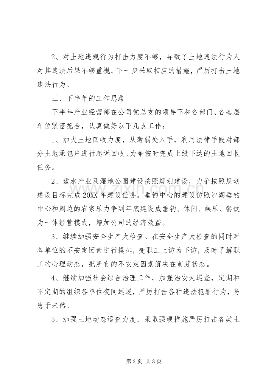 产业经营部202X年上半年工作总结和下半年工作思路.docx_第2页