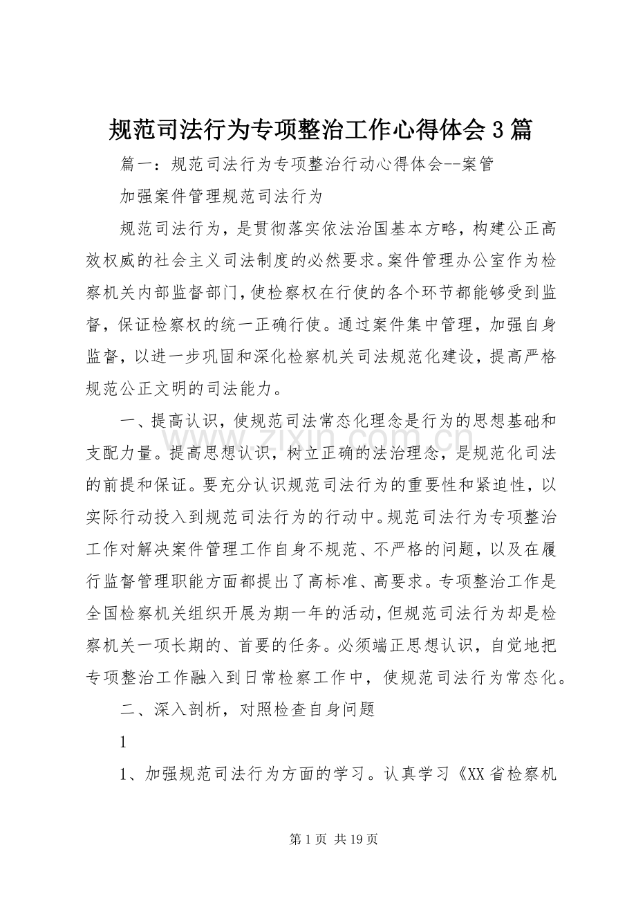 规范司法行为专项整治工作体会心得3篇.docx_第1页