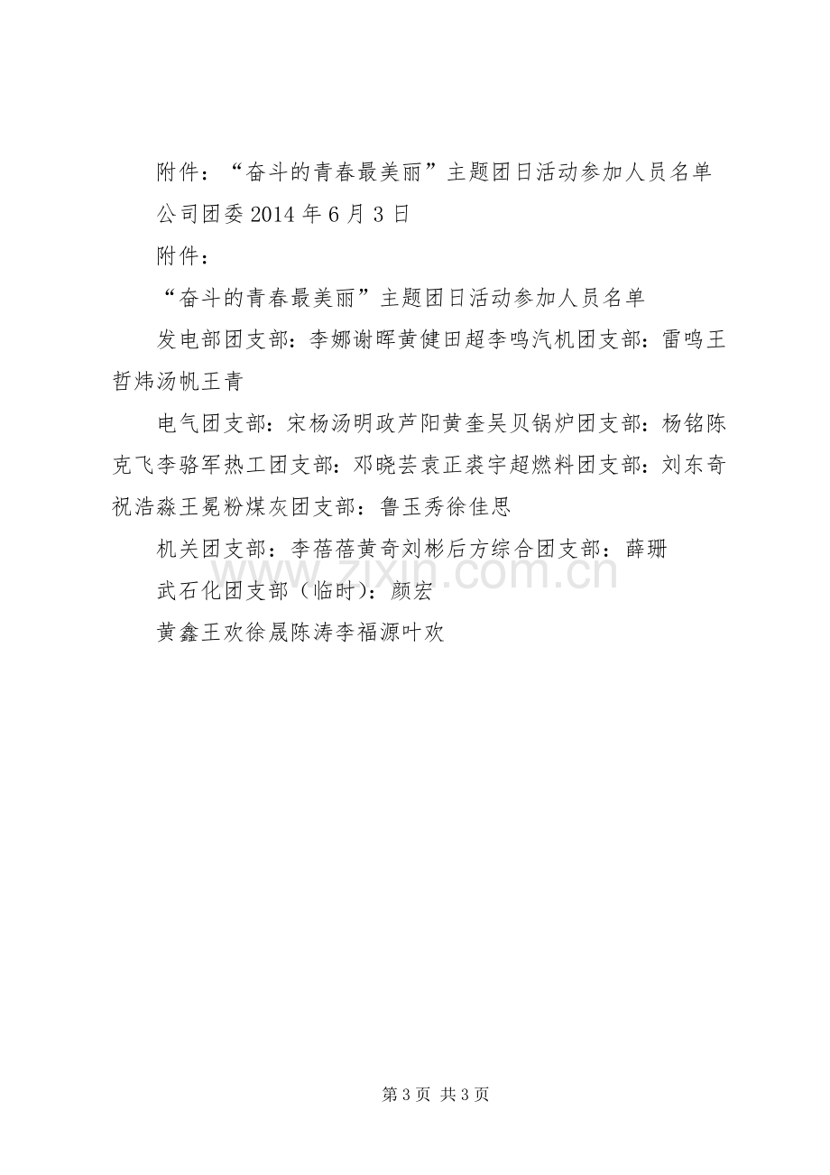 奋斗的青春最美丽团日活动总结 .docx_第3页